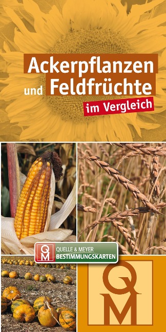 Ackerpflanzen und Feldfrüchte - 