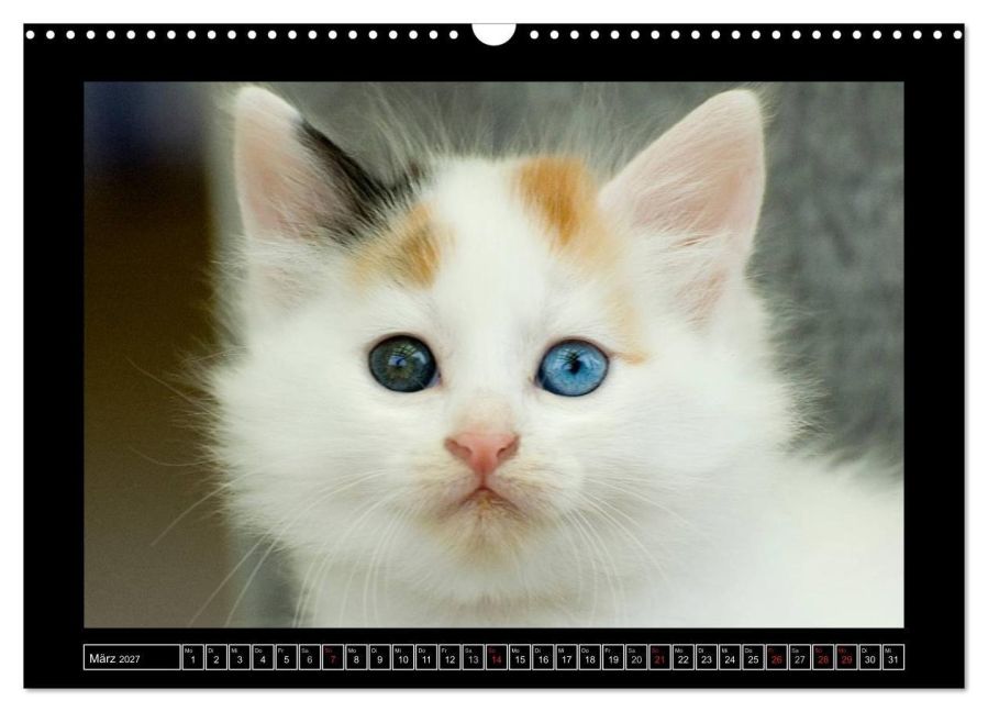 InsideView 8