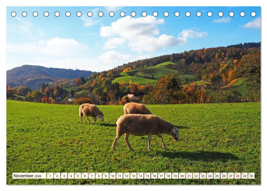 InsideView 3