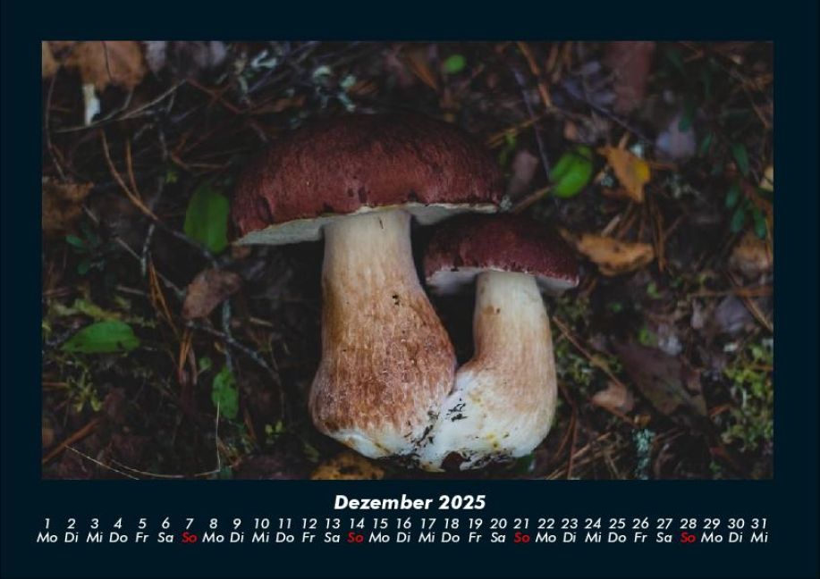 InsideView 4