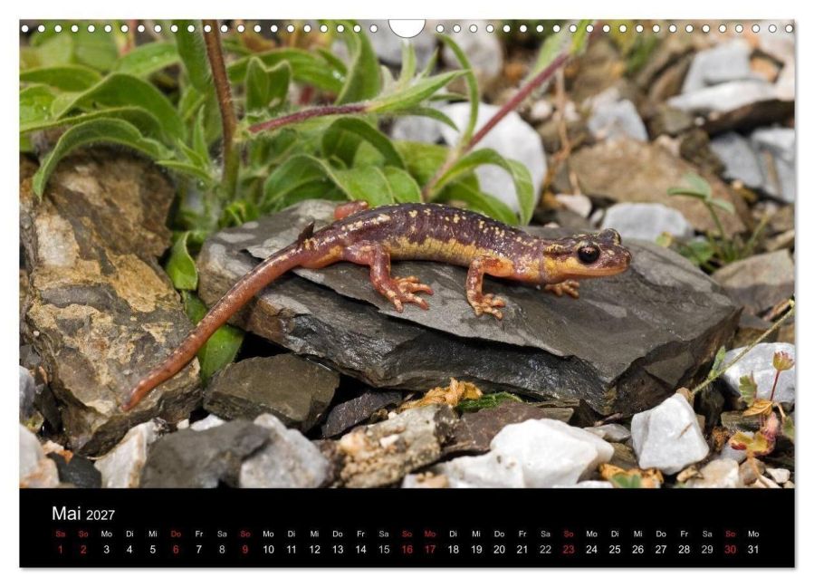 InsideView 10