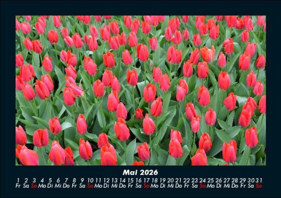 InsideView 9