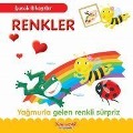 Cover-Bild zum Titel 'Kücük Hikayeler Renkler' von 'Kolektif'