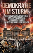 Cover-Bild zum Titel 'Demokratie im Sturm' von 'Quentin Meier'