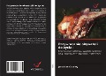 Cover-Bild zum Titel 'Przywracanie obywateli do ¿ycia:' von 'Jonathan Caseley'