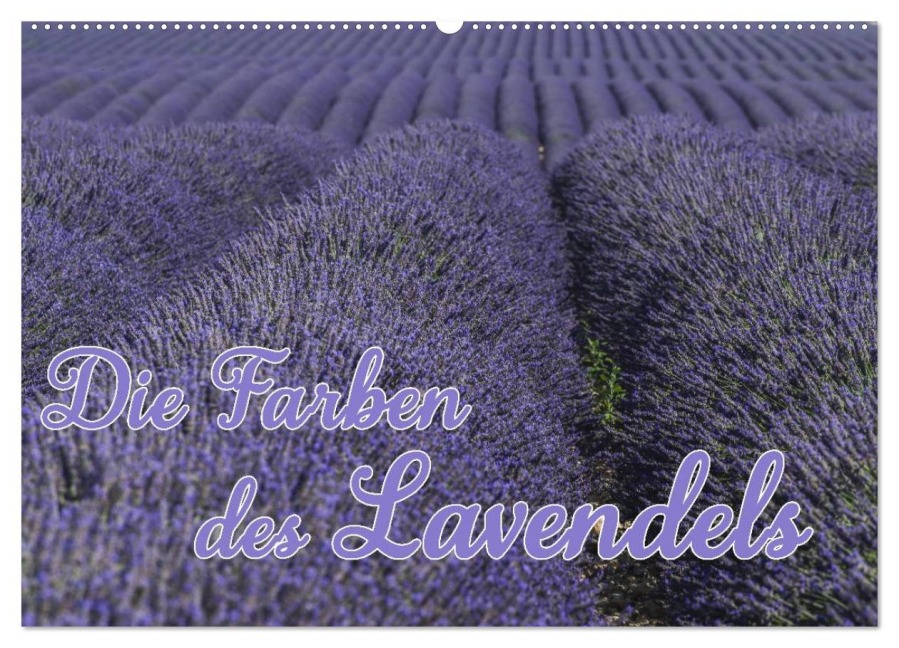 Die Farbe des Lavendels (Wandkalender 2026 DIN A2 quer), CALVENDO Monatskalender - Ralf-Udo Thiele