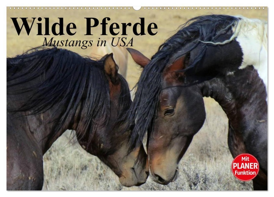Wilde Pferde. Mustangs in USA (Wandkalender 2025 DIN A2 quer), CALVENDO Monatskalender - Elisabeth Stanzer