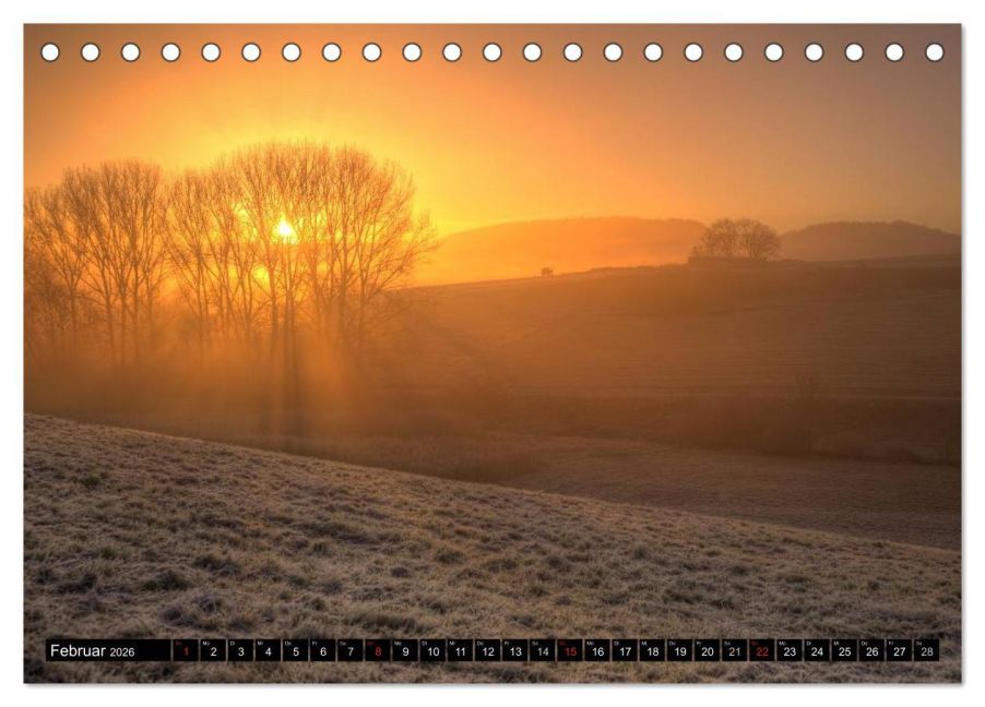 InsideView 7