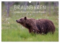 Braunbären - pelzige Riesen in Finnlands Wäldern (Wandkalender 2025 DIN A3 quer), CALVENDO Monatskalender - ©. Sandra Eigenheer