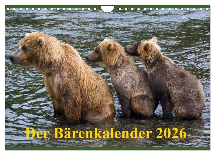 Der Bärenkalender 2026 CH-Version (Wandkalender 2026 DIN A4 quer), CALVENDO Monatskalender - Max Steinwald