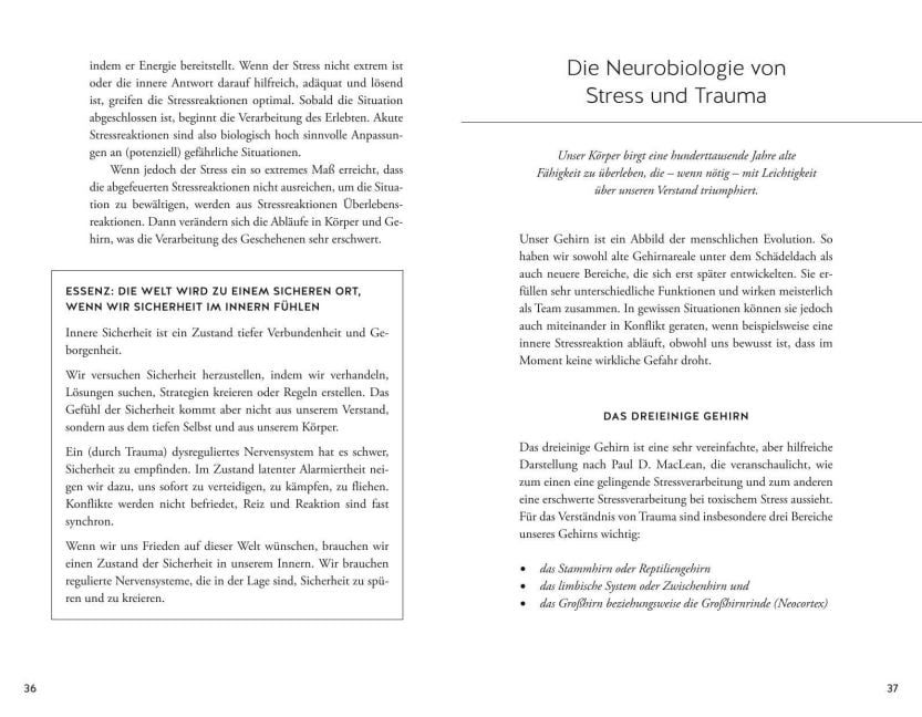InsideView 4