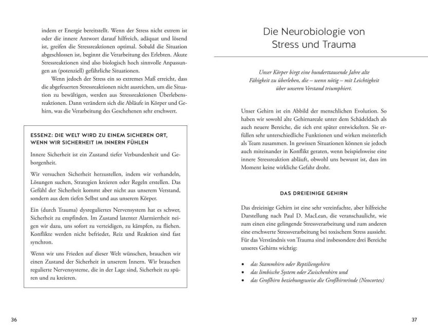 InsideView 4