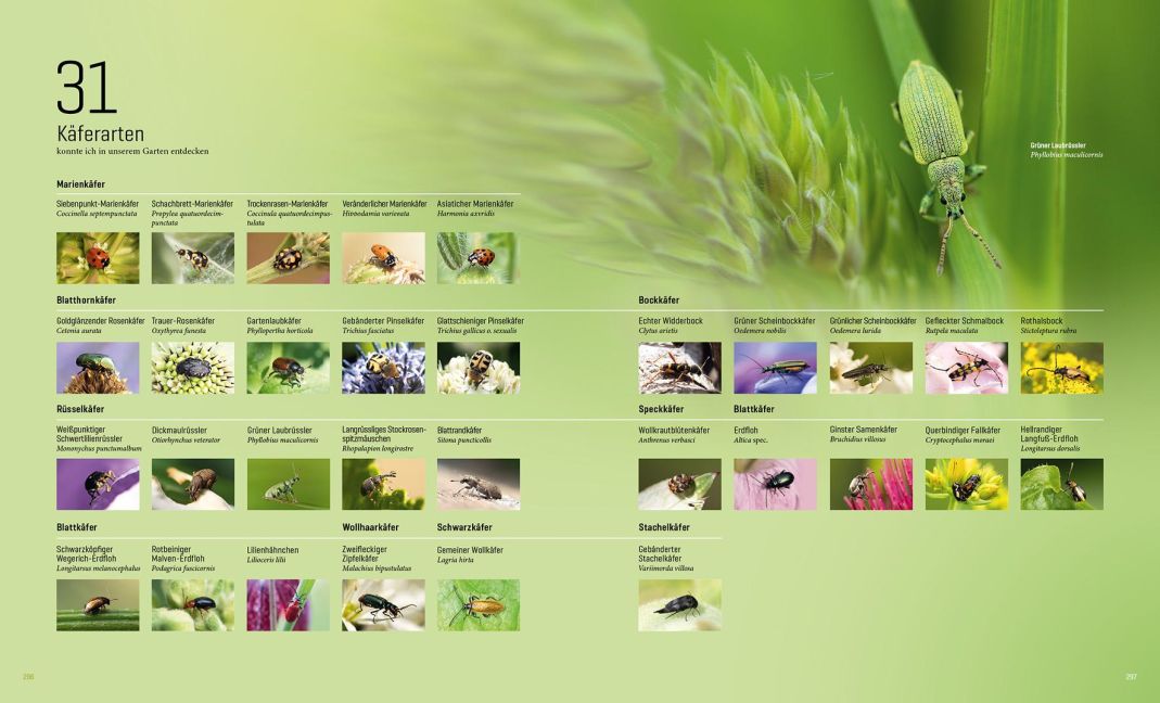 InsideView 14