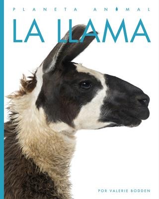 La Llama - Valerie Bodden