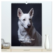 Cover-Bild zum Titel 'Treue Wegbegleiter, Hunde im Portrait. (hochwertiger Premium Wandkalender 2026 DIN A2 hoch), Kunstdruck in Hochglanz' von 'Susanne Stark'