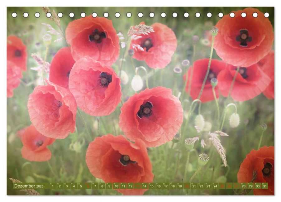 InsideView 4