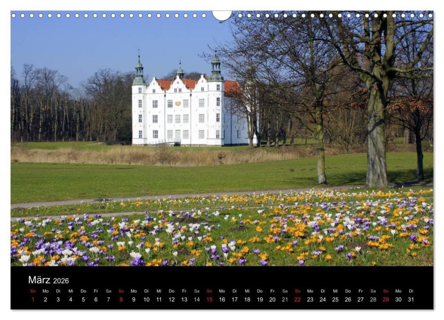 InsideView 8