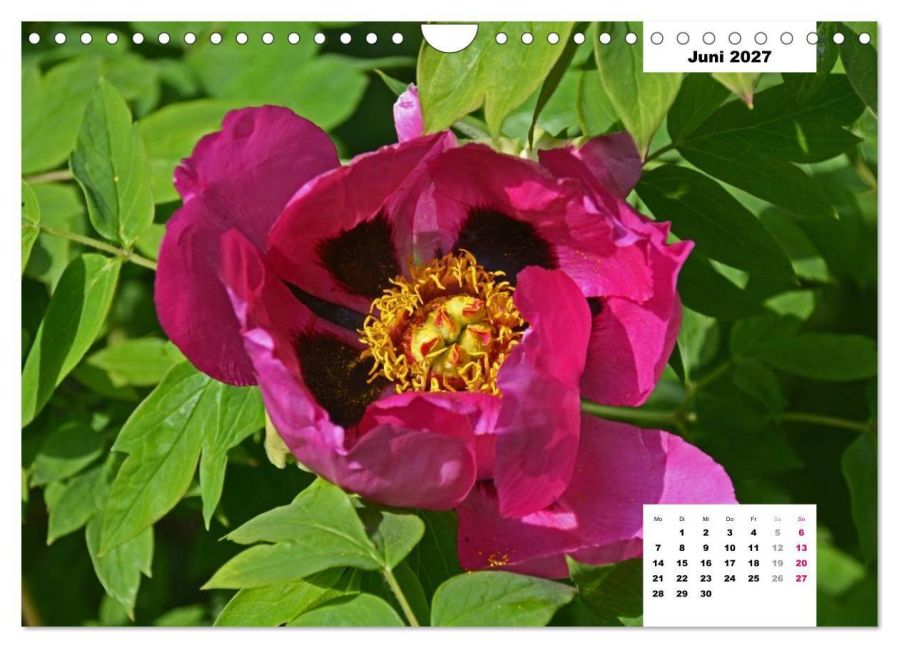 InsideView 11