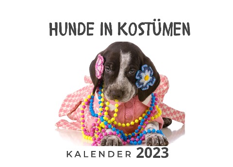 Hunde in Kostümen - Bibi Hübsch