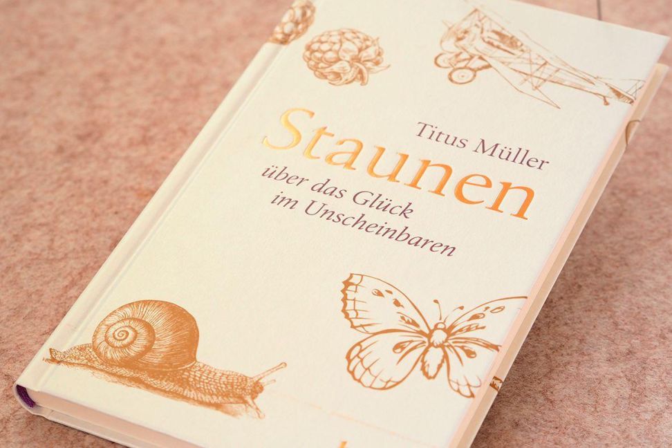 InsideView 2