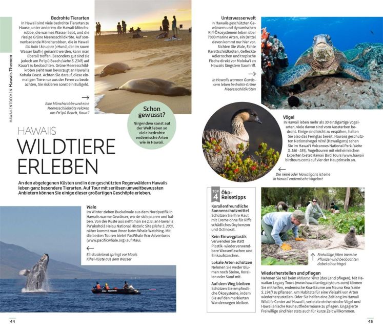 InsideView 5