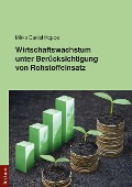 Cover-Bild zum Titel 'Wirtschaftswachstum unter Berücksichtigung von Rohstoffeinsatz' von 'Mirko Daniel Hoppe'
