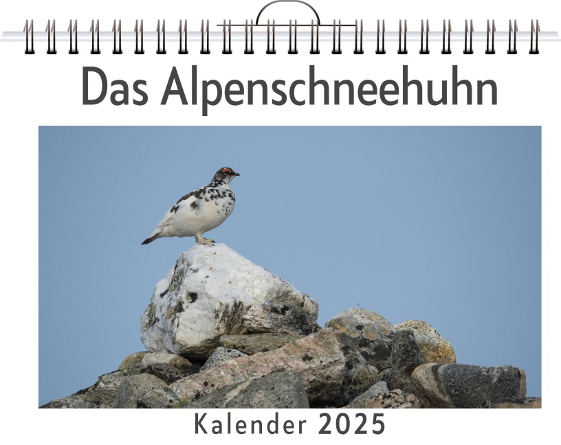 Das Alpenschneehuhn - Tim Lange