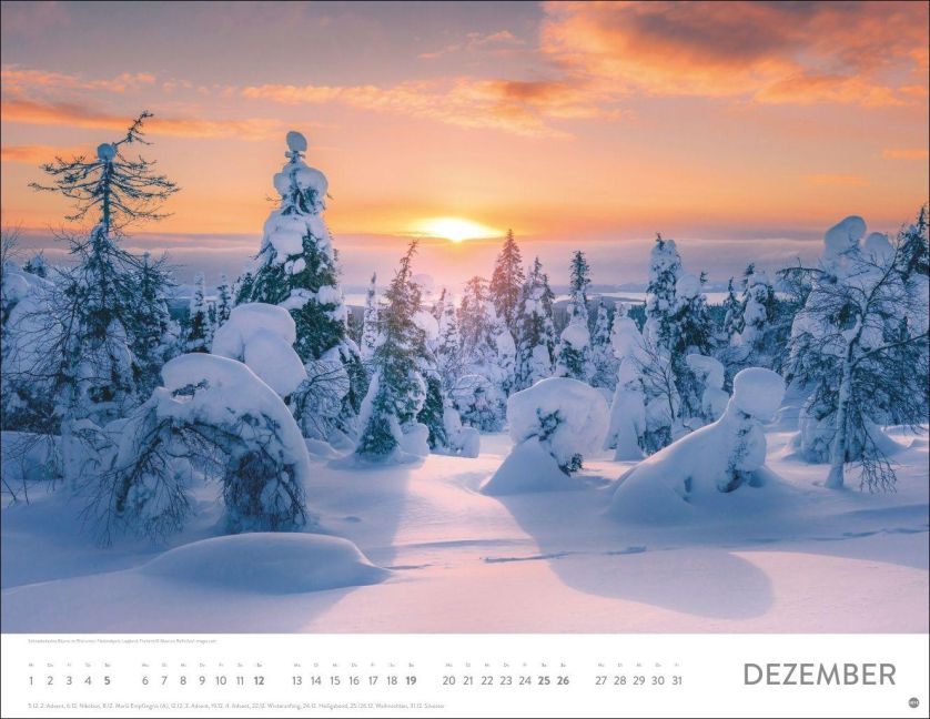 InsideView 12