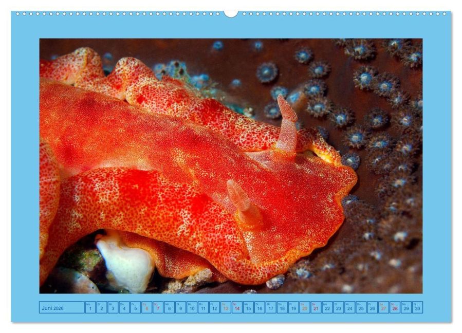 InsideView 10