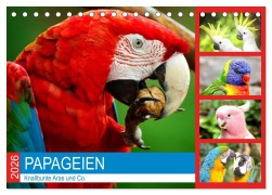 Cover-Bild zum Titel 'Papageien. Knallbunte Aras und Co. (Tischkalender 2026 DIN A5 quer), CALVENDO Monatskalender' von 'Rose Hurley'