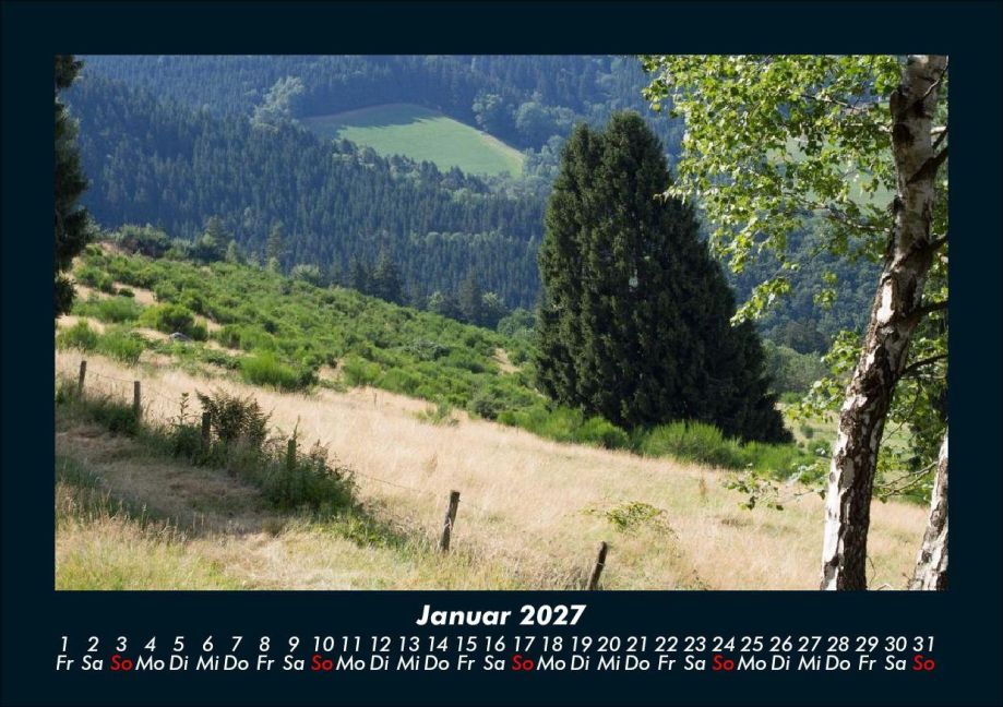 InsideView 5