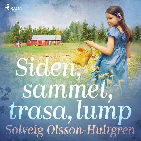Siden, sammet, trasa, lump - Solveig Olsson-Hultgren