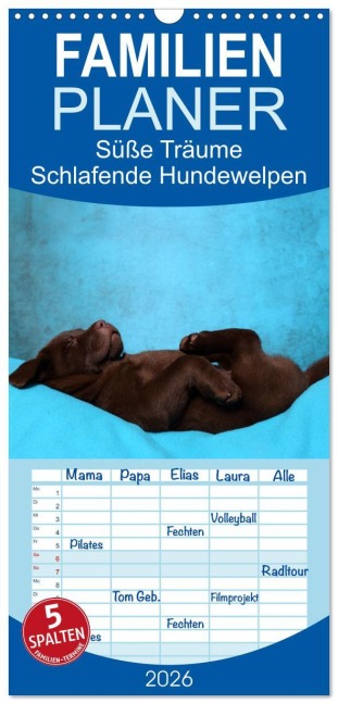 Familienplaner 2026 - Süße Träume 2026 - schlafende Hundewelpen mit 5 Spalten (Wandkalender, 21 x 45 cm) CALVENDO - Jeanette Hutfluss