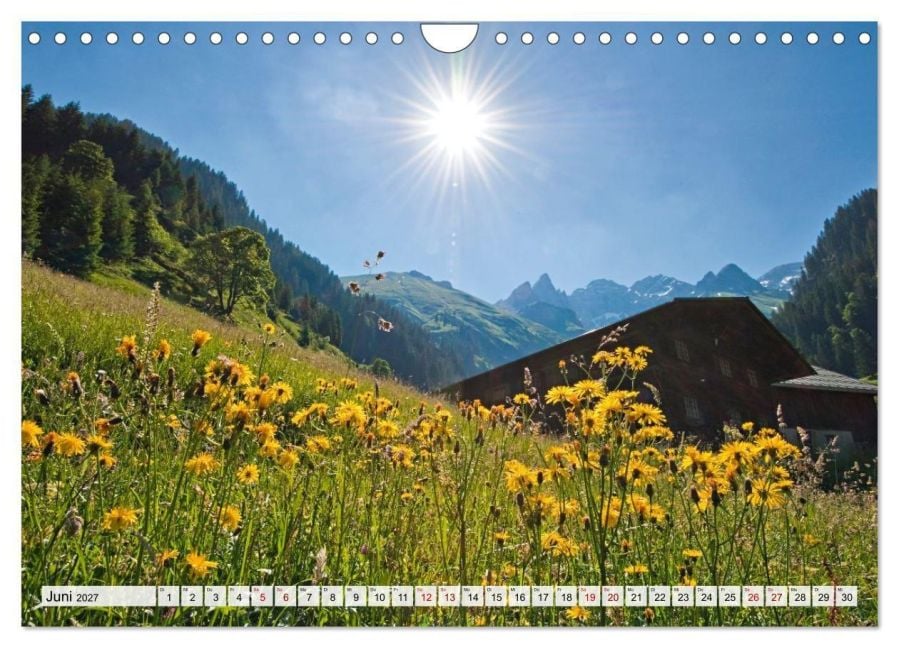 InsideView 11