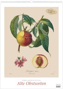 Cover-Bild zum Titel 'Pierre Antoine Poiteau: Alte Obstsorten 2026 - DUMONT Kunst-Kalender - Poster-Format 50 x 70 cm' von ''