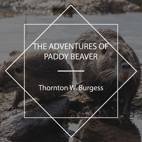 The Adventures of Paddy Beaver - Thornton W. Burgess