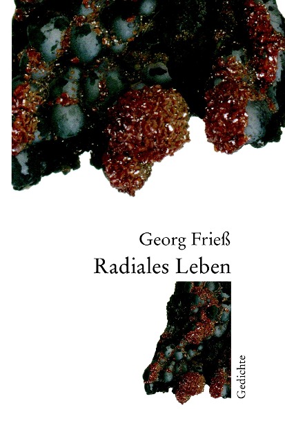 Radiales Leben - Georg Frieß