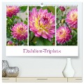 Dahlien-Triplets (hochwertiger Premium Wandkalender 2025 DIN A2 quer), Kunstdruck in Hochglanz - Christine B-B Müller