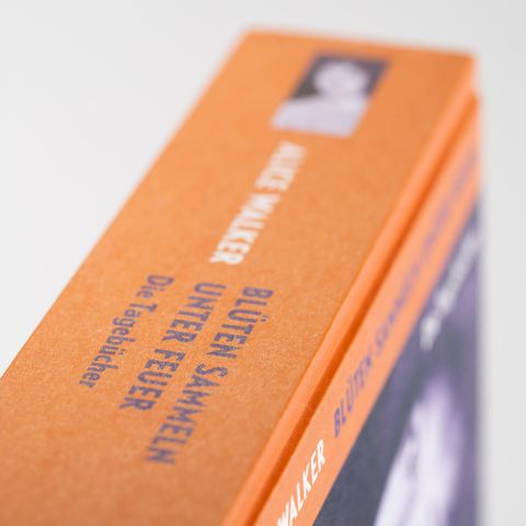 InsideView 3