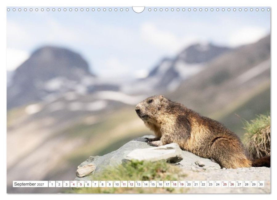 InsideView 14