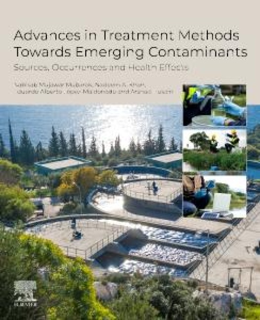 Advances in Treatment Methods Towards Emerging Contaminants - 