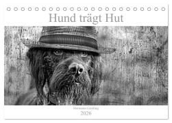 Hund trägt Hut (Tischkalender 2026 DIN A5 quer), CALVENDO Monatskalender - Hermann Greiling
