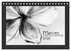 Cover-Bild zum Titel 'Pflanzen in Schwarz und Weiß (Tischkalender 2026 DIN A5 quer), CALVENDO Monatskalender' von 'Kirsten Karius'