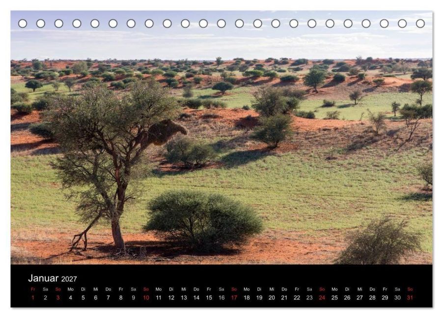 InsideView 6