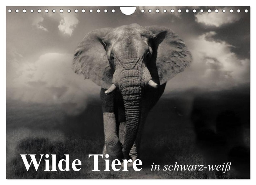 Wilde Tiere in schwarz-weiß (Wandkalender 2026 DIN A4 quer), CALVENDO Monatskalender - Elisabeth Stanzer