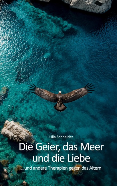 Die Geier, das Meer und die Liebe... - Ulla Schneider