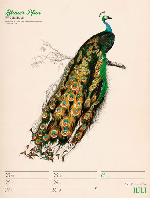 InsideView 31