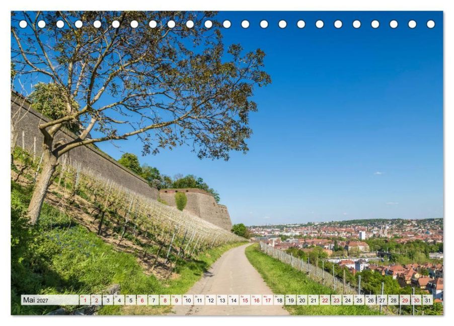 InsideView 10