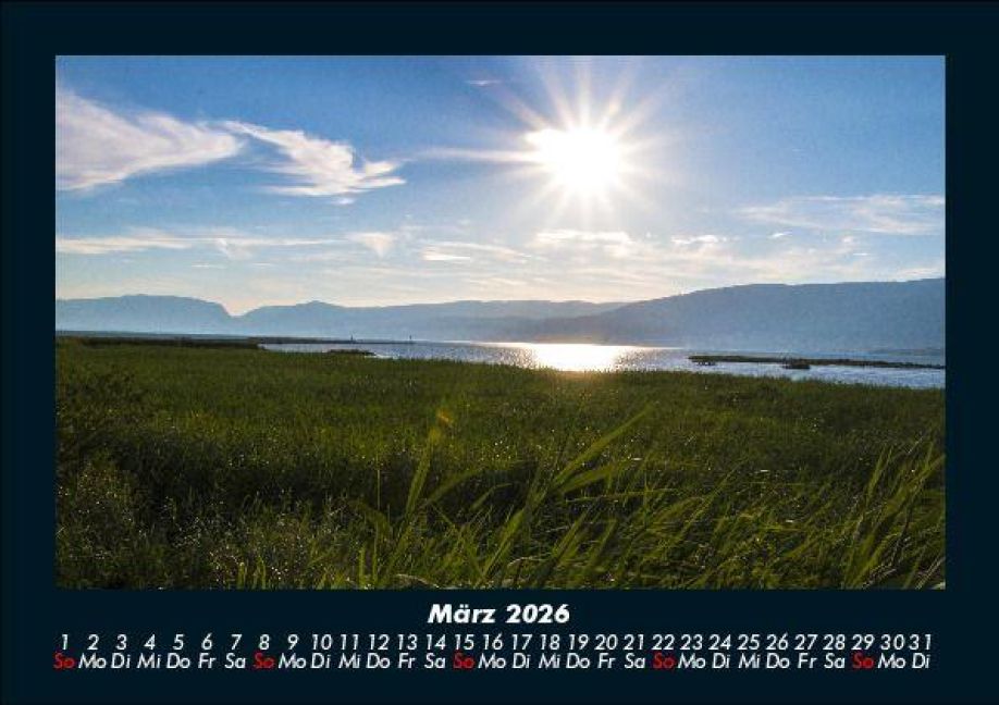 InsideView 7