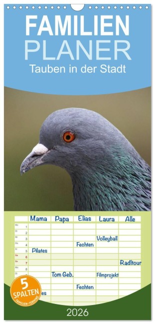 Familienplaner 2026 - Tauben in der Stadt mit 5 Spalten (Wandkalender, 21 x 45 cm) CALVENDO - Kattobello Kattobello